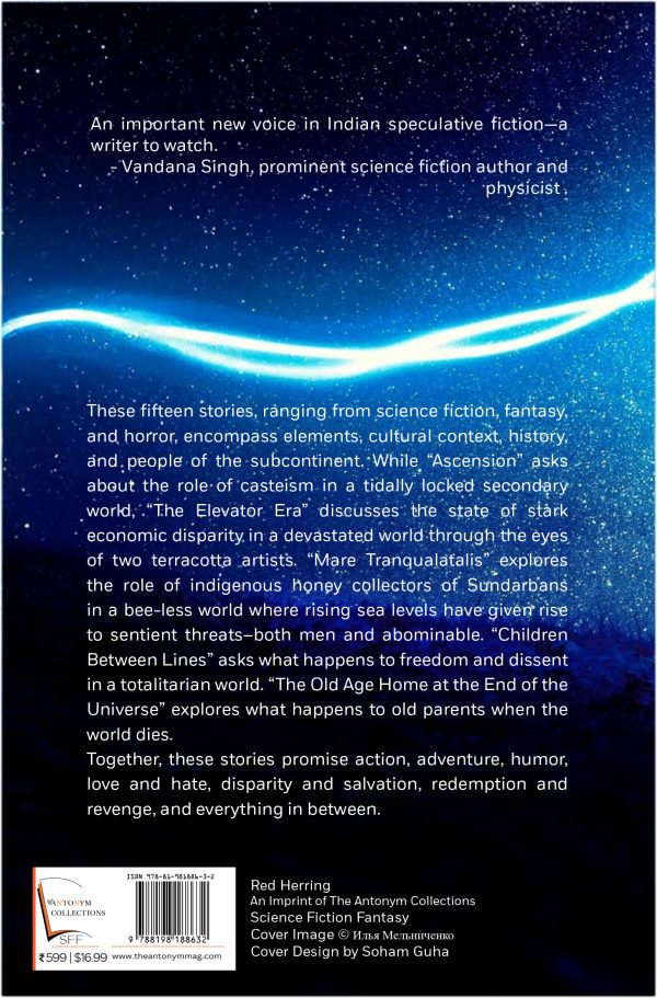 Fractal Dreams Back Cover