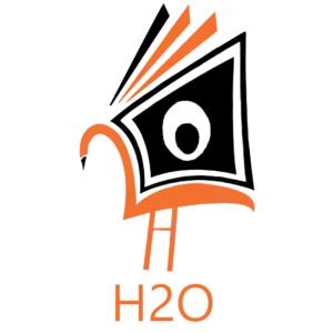 H2O logo