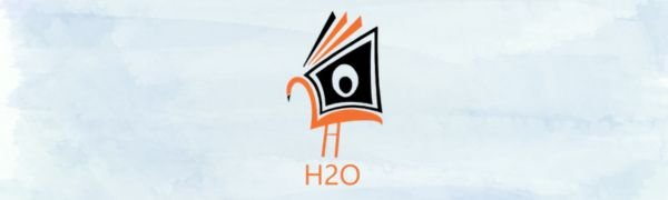 H2O Header